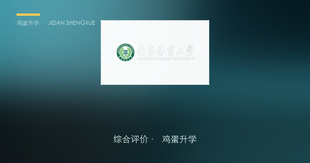 南京林业大学 · 江苏综合评价报考全解析（B类）